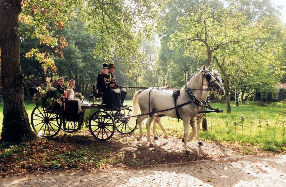 5_Stalhouderij_Biessum_Nostalgisch-trouwvervoer