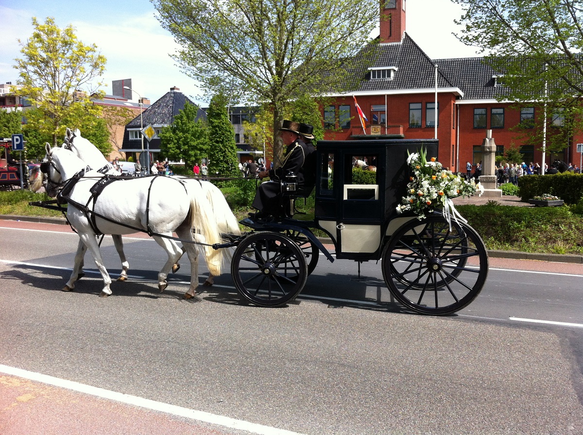 Stalhouderij Biessum